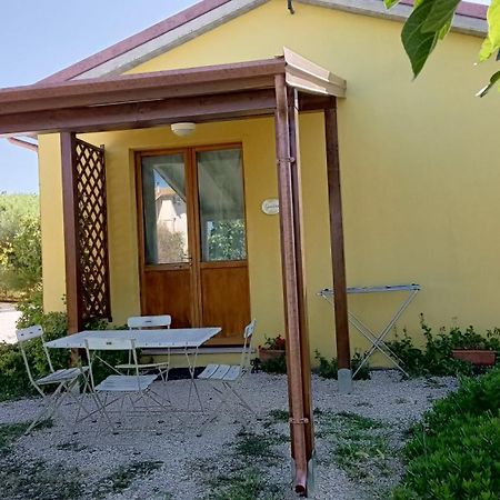 Agriturismo I Ciliegi Appartamento Ginestra Montignano Buitenkant foto