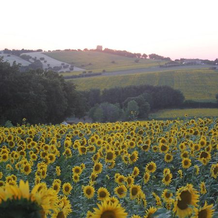 Agriturismo I Ciliegi Appartamento Ginestra Montignano Buitenkant foto