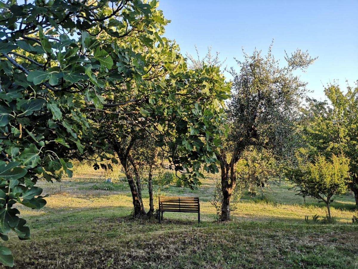 Agriturismo I Ciliegi Appartamento Ginestra Montignano Buitenkant foto