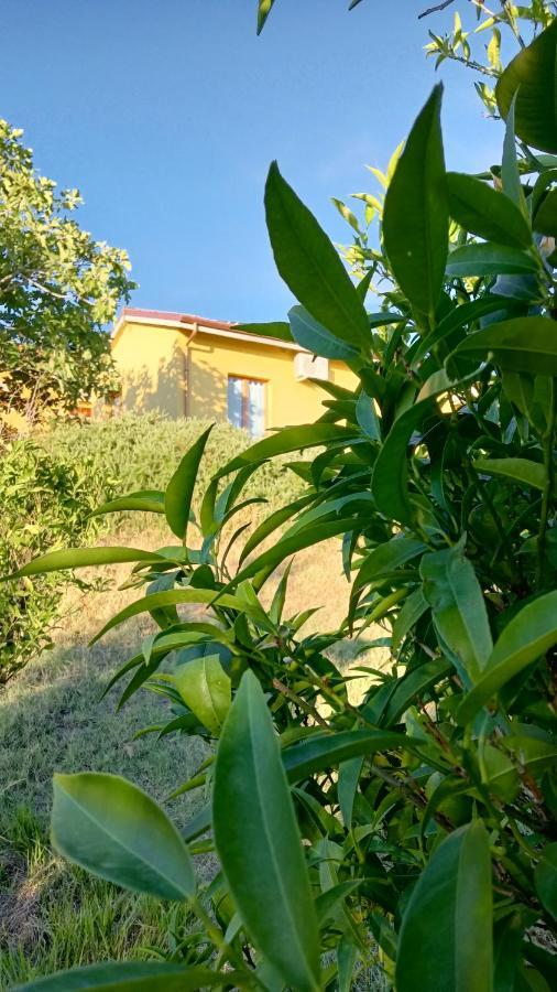 Agriturismo I Ciliegi Appartamento Ginestra Montignano Buitenkant foto