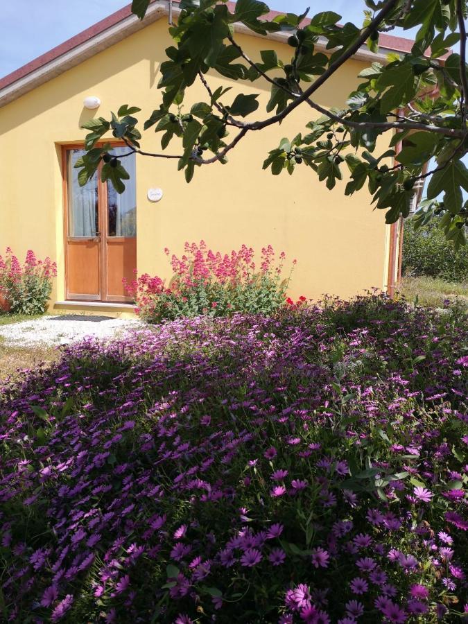 Agriturismo I Ciliegi Appartamento Ginestra Montignano Buitenkant foto